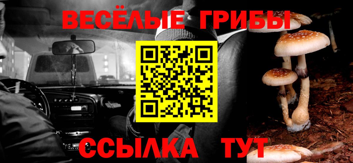 как найти наркотики  Псилоцибиновые грибы GOLDEN TEACHER  Вход с VPN  Мытищи 