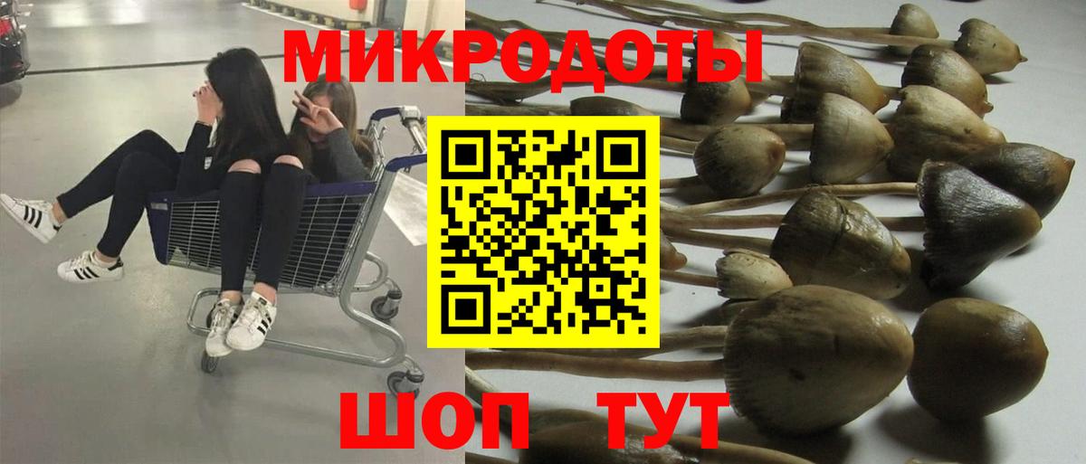 Галлюциногенные грибы мухоморы Мытищи
